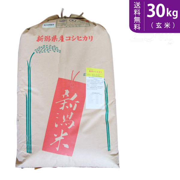 【送料無料】令和5年産 新潟県阿賀野産コシヒカリ(玄米)30kg 阿賀野産 特別栽培米【smtb-TD】【saitama】