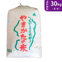 【送料無料】山形県産つや姫(玄米)30kg
