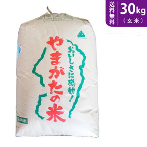 【送料無料】令和5年産 新米 山形県産つや姫 玄米30kg 庄内産 特別栽培米【smtb-TD】【saitama】