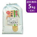 【送料無料】令和5年産 新米 玄米 山形県産つや姫 5kg 庄内産 特別栽培米【smtb-TD】【saitama】