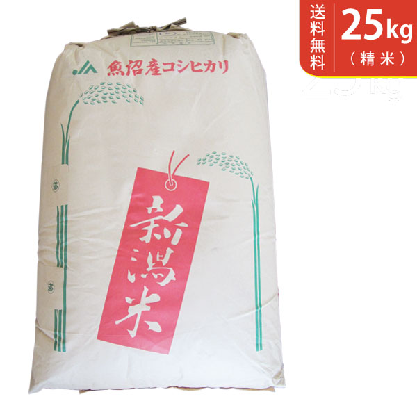 魚沼産コシヒカリ 【送料無料】令和5年産 魚沼産コシヒカリ 25kg 十日町地区 最高級 ギフトにおすすめ♪【smtb-TD】【saitama】