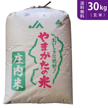 【送料無料】令和元年産 新米 山形県産 雪若丸 玄米30kg 庄内産【smtb-TD】【saitama】