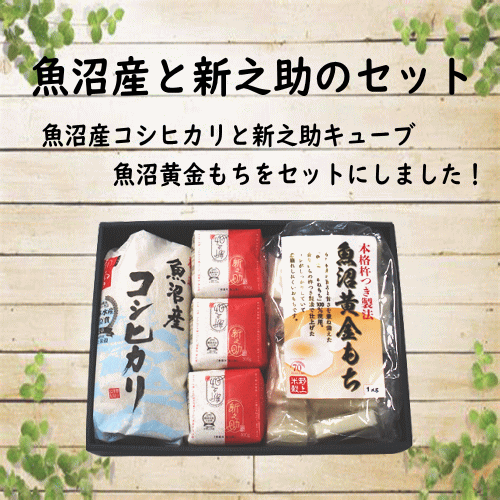 令和5年産 魚沼産と新之助のセット 新之助 新潟県産 ギフト 詰め合わせ 内祝い 出...