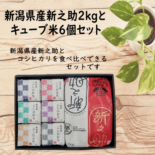 令和5年産 新潟県産新之助2kgとキューブ米6個セット 新之助 新潟県産 ギフト 新潟産新之助 コシヒカリ 贈答品 箱入り 内祝い 産地直送 送料無料のサムネイル