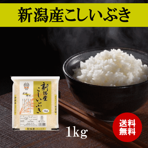 【スーパーセール期間中ポイント5倍】 米 こしいぶき 新潟県産 1kg 新潟産こしいぶき 1kg 新潟県産 令和5年産 米 お米 白米 精米 産地直送 こしいぶき あっさり コシ ツヤ もちもち 美味しい おいしい ごはん ご飯 おにぎり お弁当 ネコポス対応のサムネイル