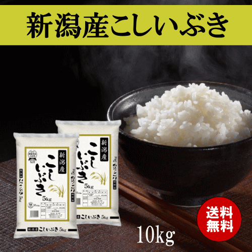 あす楽 米 こしいぶき 10kg 送料無料 令和3年産 新潟産こしいぶき 10kg（5kg×2） お米 白米 精米 新潟 産地直送