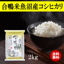 【マラソン期間中ポイント5倍】 米 コシヒカリ 魚沼産 合鴨米魚沼産コシヒカリ 2kg 新潟県産 令和5年産 合鴨米 米 お米 白米 精米 おこめ コメ ごはん ご飯 おにぎり お弁当 ふっくら 冷めても美味しい おいしい こしひかり 産地直送 送料無料