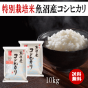 ※発送先が沖縄県に関しましては、別途送料1,000円かかります。当店からの受注完了メール時に、加算させて頂きます。予めご了承ください。 内容量 5kg×2 年　 産 5年産 産　 地 新潟県魚沼 品　 種 コシヒカリ 保存方法 ・温度や湿度...