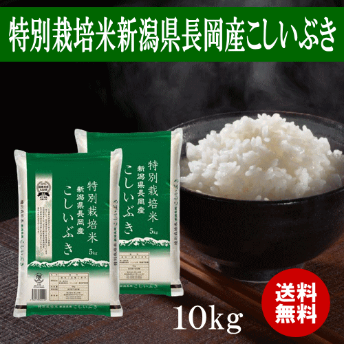 米 10kg 送料無料 令和3年産 特別栽培米新潟県長岡産こしいぶき10kg（5kg×2） おこめ 新潟 精米 白米 産地直送