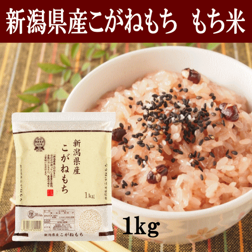 新潟県産こがねもち 1kg 新潟県産 令和5年産 もち米 こがねもち モチ米 新潟 お赤飯 おこわ のしもち ..