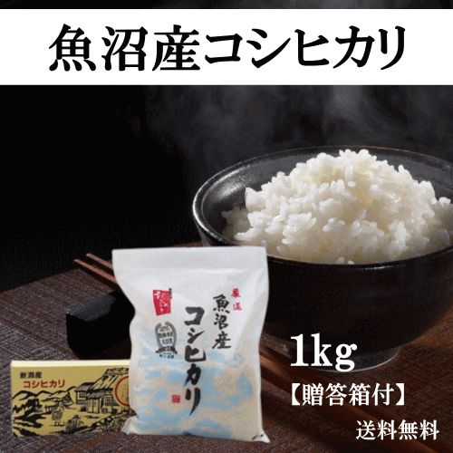 魚沼産コシヒカリ 【マラソン期間中ポイント5倍】 米 コシヒカリ 魚沼産 1kg 魚沼産コシヒカリ 1kg コシヒカリ ギフト 新潟県産 米 お米 白米 精米 もっちり ふっくら やわらかめ 美味しい おいしい ごはん ご飯 おにぎり こしひかり 贈答品 箱入り 産地直送 送料無料