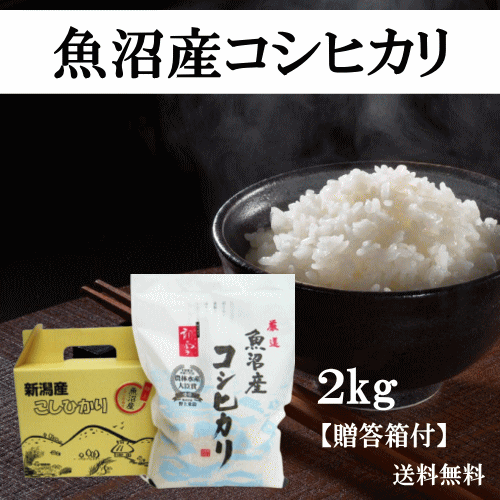 魚沼産コシヒカリ 【マラソン期間中ポイント5倍】 米 コシヒカリ 魚沼産 2kg 魚沼産コシヒカリ 2kg ギフト 新潟県産 令和5年産 コシヒカリ 米 お米 白米 精米 おこめ コメ ごはん ご飯 おにぎり お弁当 ふっくら 美味しい おいしい 贈答品 箱入り 産地直送 送料無料