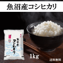  米 コシヒカリ 魚沼産 1kg 魚沼産コシヒカリ 1kg コシヒカリ 新潟県産 令和5年産 米 お米 白米 精米 もっちり ふっくら やわらかめ 美味しい おいしい ごはん ご飯 おにぎり お弁当 おいしい 産地直送 送料無料