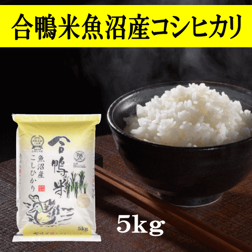 米 コシヒカリ 魚沼産 合鴨米魚沼産コシヒカリ 5kg 新潟県産 令和5年産 合鴨米 米 お米 白米 精米 おこめ コメ ごはん ご飯 おにぎり お弁当 ふっくら 冷めても美味しい おいしい こしひかり 産地直送 送料無料のサムネイル
