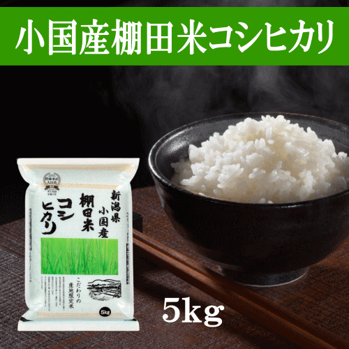 米 5kg 送料無料 令和4年産 小国産棚田米コシヒカリ 5kg お米 白米 精米 新潟 産地直送のサムネイル