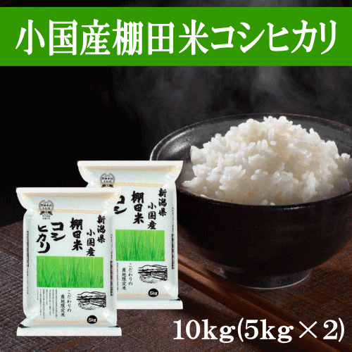 小国産棚田米コシヒカリ 10kg (5kg×2)...の商品画像