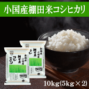  小国産棚田米コシヒカリ 10kg （5kg×2） コシヒカリ 新潟県産 令和5年産 小国産棚田米 米 お米 白米 精米 産地直送 おいしい ごはん ご飯 おにぎり ご家庭 ファミリー 送料無料