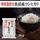 新米 米 コシヒカリ 特別栽培米 令和7年産 特別栽培米魚沼産コシヒカリ 5kg コシヒカリ 新潟県産 米 お米 白米 精米 コメ ごはん ご飯 おにぎり ふっくら 冷めても美味しい おいしい 産地直送 特別栽培米 送料無料