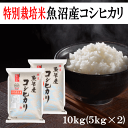 米 コシヒカリ 令和6年産 特別栽培米魚沼産コシヒカリ 10kg (5kg×2) 新潟県産 魚沼産 米 お米 白米 精米 産地直送 特別栽培 最高級 ふっくら ...