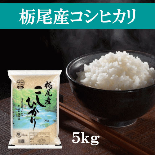  栃尾産コシヒカリ 5kg コシヒカリ 新潟県産 令和5年産 栃尾産 米 お米 白米 精米 おこめ コメ ごはん ご飯 おにぎり お弁当 ふっくら 冷めても美味しい おいしい 産地直送 送料無料