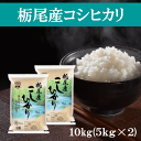  栃尾産コシヒカリ 10kg（5kg×2） コシヒカリ 新潟県産 令和5年産 栃尾産 米 お米 白米 精米 もっちり もちもち 甘味 つや 美味しい おいしい ご飯 おにぎり お弁当 産地直送 送料無料