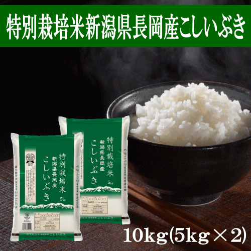 ★4時間限定！20%OFFクーポン 19日20:00〜23:59★ 米 10kg 送料無料 令和4年産 特別栽培米新潟県長岡産こしいぶき10kg（5kg×2） おこめ 新潟 精米 白米 産地直送のサムネイル