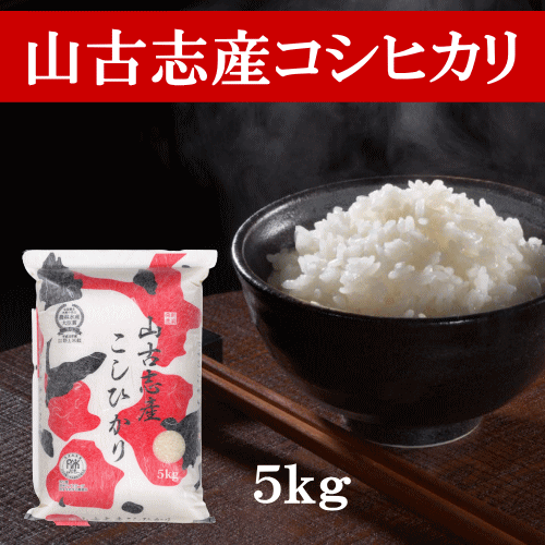山古志産コシヒカリ 5kg コシヒカリ 新潟県産 令和5年産 山古志産 米 お米 白米 精米 もっちり もちもち 甘味 希少 美味しい おいしい ごはん ご飯 おにぎり お弁当 産地直送 送料無料