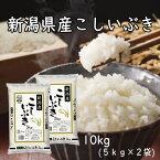 米 こしいぶき 10kg 新潟産こしいぶき 10kg （5kg×2）新潟県産 令和5年産 米 お米 白米 精米 産地直送 こしいぶき あっさり コシ もちもち 美味しい おいしい ごはん ご飯 おにぎり お弁当 送料無料