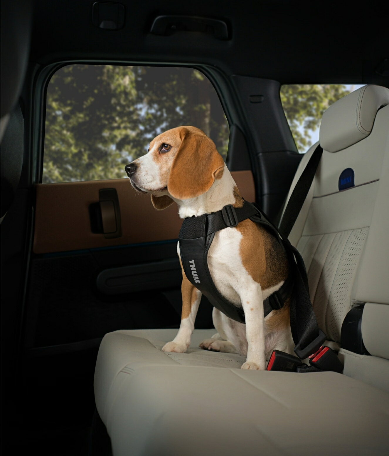 Thule 犬用クルマハーネス Thule Cappy L