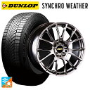 225/45R18 95V XL ダンロップ シンクロウェザー BBS RE-V DB 18-7.5J 国産車用 オールシーズンタイヤホイール4本セット