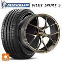 【10/27 10:59迄 全品P5倍&クーポン】245/45R19 102Y XL ミシュラン 正規品 パイロットスポーツ5 BBS RI-D DG 19-9.5J 国産車用 サマータイヤホイール4本セット