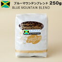 コーヒー豆 ブレンドコーヒー ブルーマウンテンブレンド 250g（ブルーマウンテン：ブラジル：コロンビア：キリマンジャロ＝4：3：2：1）コーヒー 珈琲 珈琲豆 母の日 父の日 メール便送料無料 