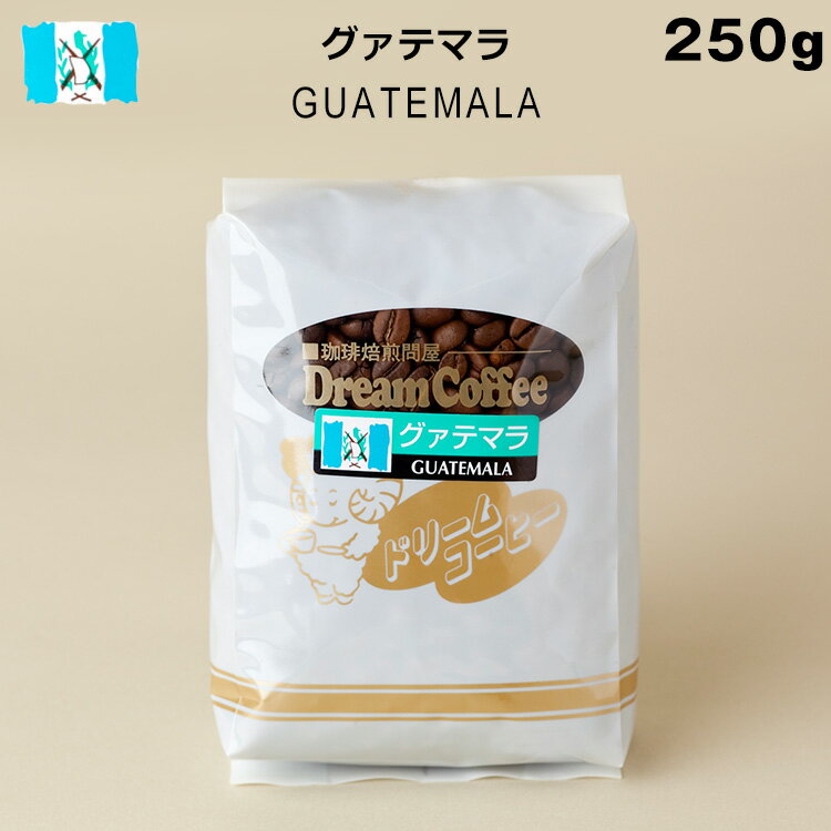 グアテマラ グァテマラ 100% 250g コーヒー豆 コーヒー 珈琲 珈琲豆 母の日 父の日 メール便送料無料 [M便 1/2]