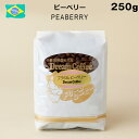 コーヒー豆 ブラジル ピーベリー 250g ストレートコーヒー コーヒー 珈琲 珈琲豆 シングルオリジン 母の日 父の日メール便送料無料 [M便 1/2]