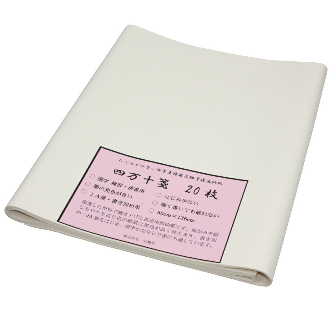 機械漉画仙紙 四万十箋（35×136cm）20枚