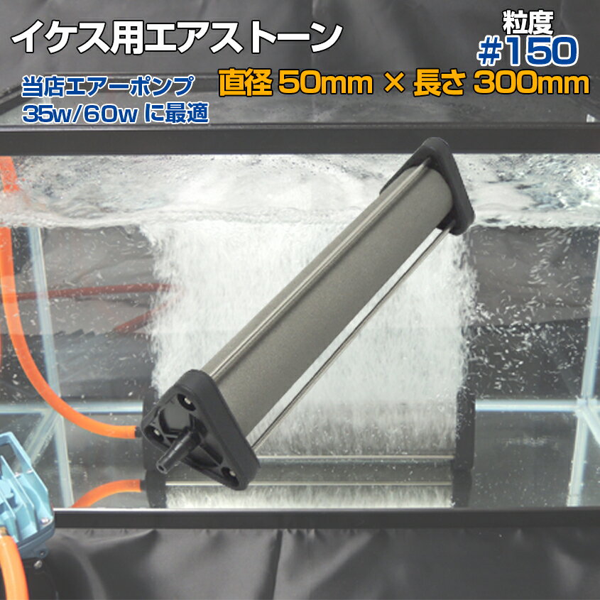 いぶきエアストーン 直径50 300 粒度#150 微粒泡 エアー 活魚 水槽 いけす 活魚輸送車 エアーポンプ用 エアーストーン セラミック製 ホース内径 8mmから12mm用