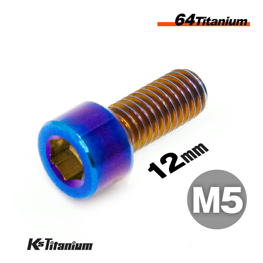 M8×25 P1.25 チタンボルト 1本 8mm 25mm ピッチ1.25 シルバー テーパーボルト キャップボルト クランクケース バイク ポイントカバー カウル 車 自転車 ステム ロードバイク ネジ 64チタン