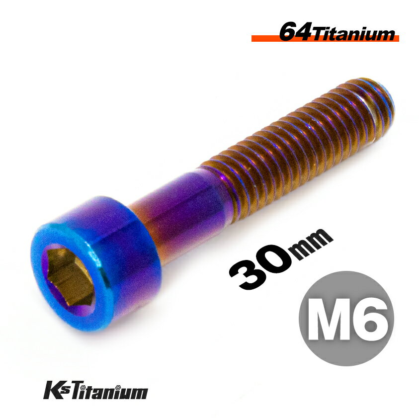 ܥ M6 30mm P1.0 Ƥ 1 64 åץܥ M630 å 20mm Ti-6Al-4V Gr5...