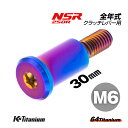 64チタン製 クラッチレバーピポットボルト M6×30 P1.0 スレッド長:14mm 焼き色 1本売り ホンダ NSR250R 全年式 クラッチレバー ボルト レバーピポットボルトチタンボルト バイク レストア パーツ チタン カスタム ドレスアップ 旧車 レストア 修理 部品