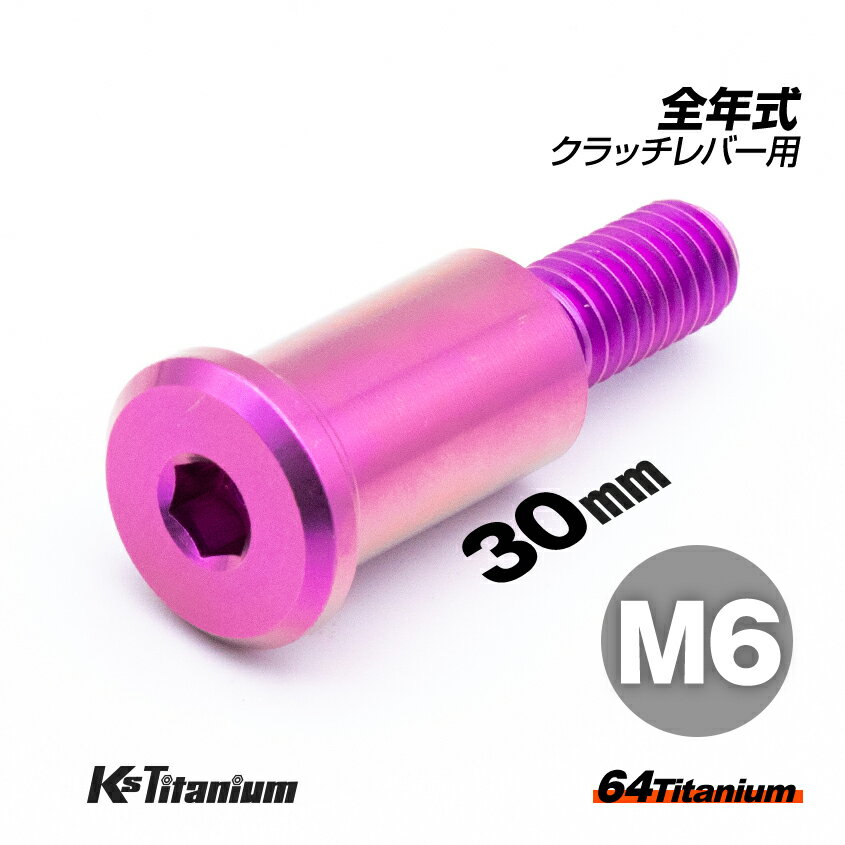 64チタン製 ホンダ系 クラッチレバー ピポットボルト M6×30 P1.00 スレッド長:14mm パープル NSR250R 全年式 グロム GROM CBR250RR MC51 等 チタンボルト チタン カスタム ドレスアップ