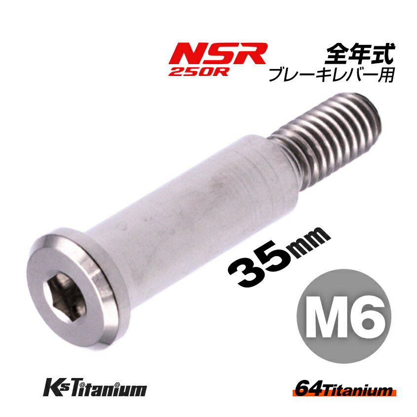 64チタン製 ブレーキレバーピポットボルト M6×35 P1.0 スレッド長:12mm シルバー 1本売り ホンダ NSR250R 全年式 ブレーキレバー ボルト レバーピポットボルト チタンボルト バイク レストア パーツ チタン カスタム ドレスアップ 旧車 レストア 修理 部品