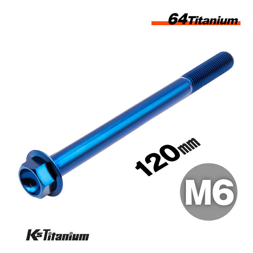 ܥ M6120 P1.0 ֥롼 1 64 ե󥸥ܥ å 20mm Ti-6Al-4V Gr5  ...