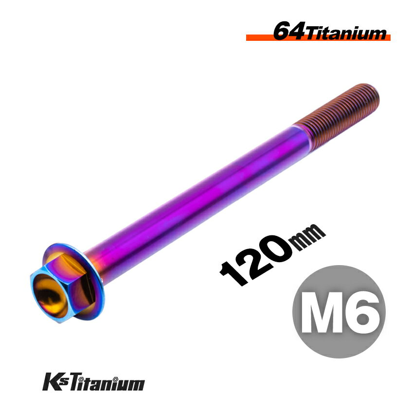 ܥ M6120 P1.0 Ƥ 1 64 ե󥸥ܥ å 20mm Ti-6Al-4V Gr5  ...