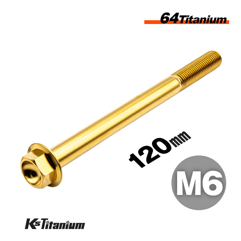 ܥ M6120 P1.0  1 64 ե󥸥ܥ å 20mm Ti-6Al-4V Gr5 ...