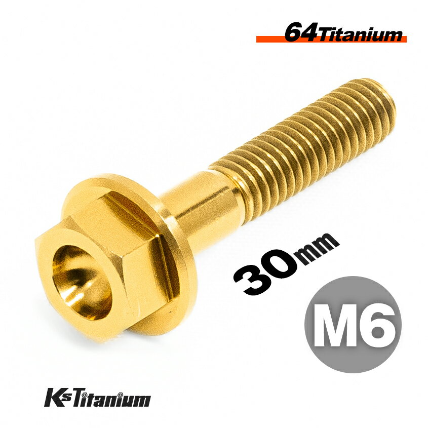 ܥ M630 P1.0  ñ 1 64 ե󥸥ܥ åĹ 20mm Ti-6Al-4V Gr5 ...