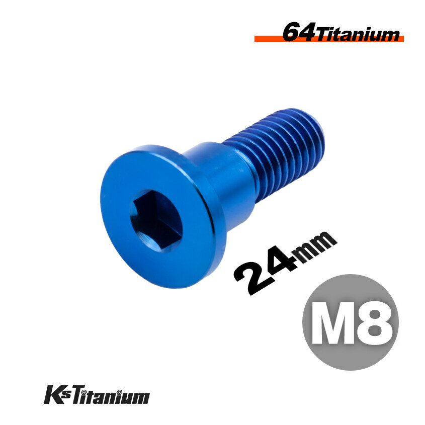 ܥ ֥롼  M824 P1.25 64 Ti-6Al-4V Gr5 եåȥإåɥܥ ꥢ ǥʤɤ...