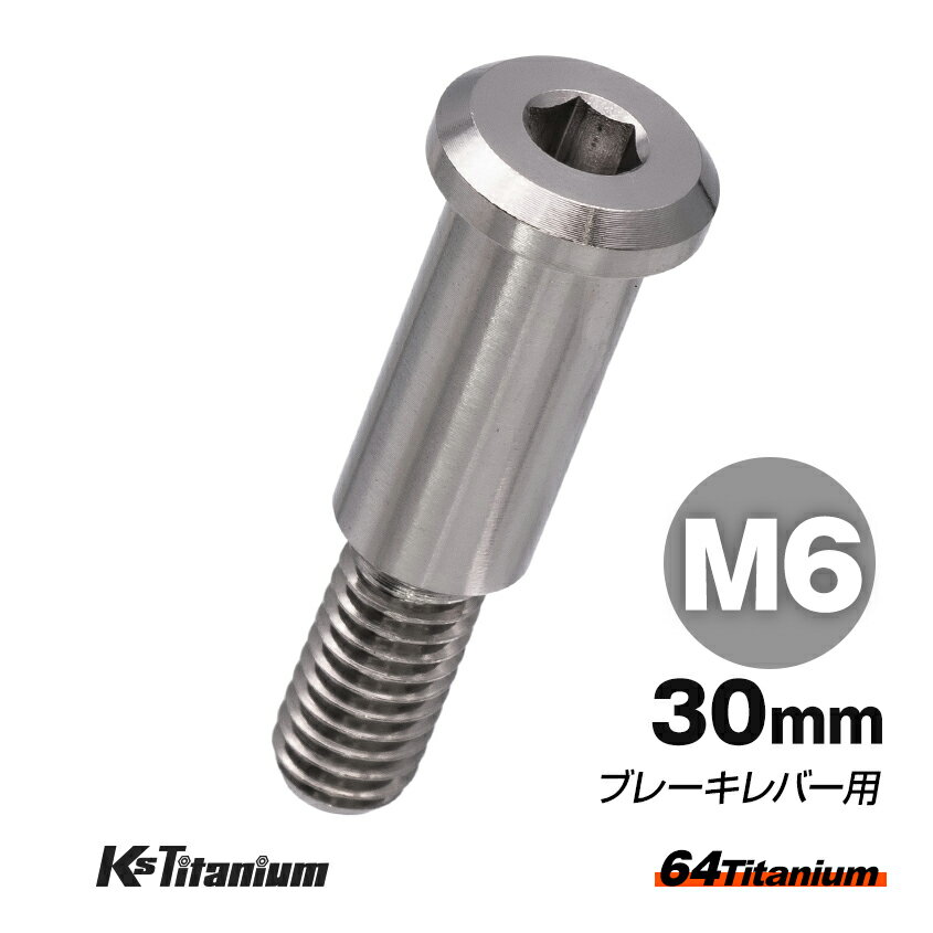 64チタン製 ブレーキレバー ピポットボルト M6×30 シルバー ホンダ CBR250RR MC51 NSR50 NSF100 等 ボルト チタンボルト バイク カスタム ドレスアップ