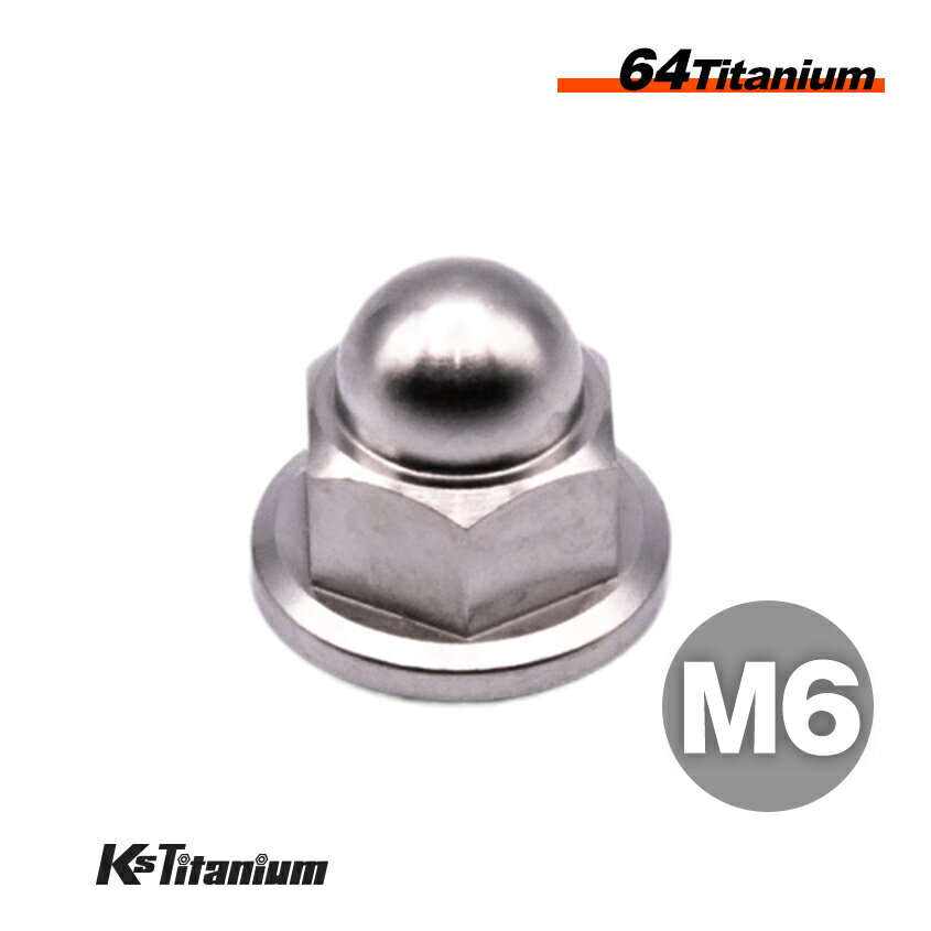 ʥå M6 P1.0 1 С 64 ޥʥå ե󥸥åץʥå Ti-6Al-4V Gr5  Х ...