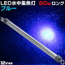 W LED W ނ 镰 WCg 铔 CJ VXEiM ^`EI AW iCg^Co CJނ z^CJ Cg Ɩ  60w  12v SMD~384 6442[ obe[ 