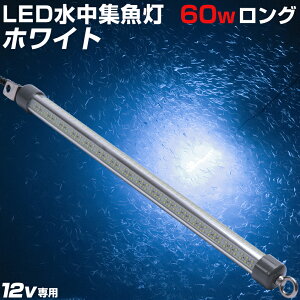 潸 LED   ʲ ۥ륤 饤   饹ʥ   ʥȥ  ˸Ū 饤   60w  12v SMD384ȯ 10560롼 Хåƥ꡼